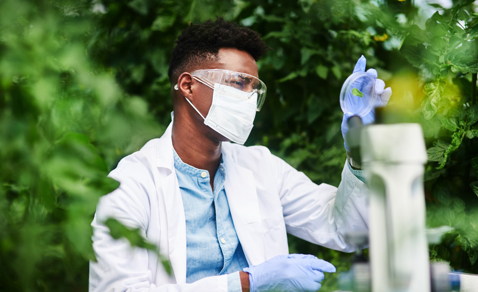 shot-of-a-young-botanist-using-a-magnifying-glass-2023-11-27-04-51-06-utc